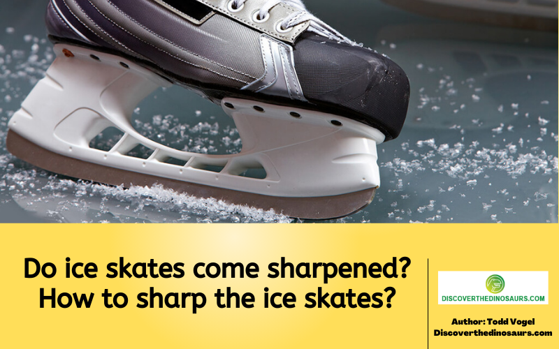 https://discoverthedinosaurs.com/do-ice-skates-come-sharpened/