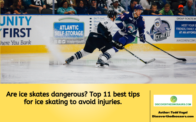 https://discoverthedinosaurs.com/are-ice-skates-dangerous/