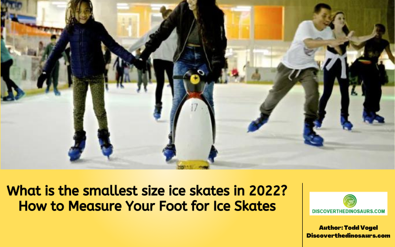 https://discoverthedinosaurs.com/what-is-the-smallest-size-ice-skates/