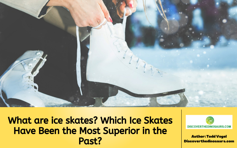 https://discoverthedinosaurs.com/what-are-ice-skates/