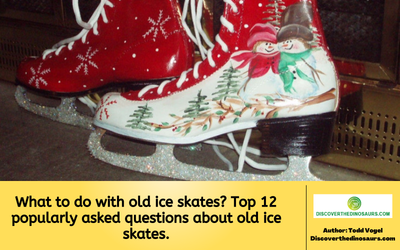 https://discoverthedinosaurs.com/what-to-do-with-old-ice-skates/