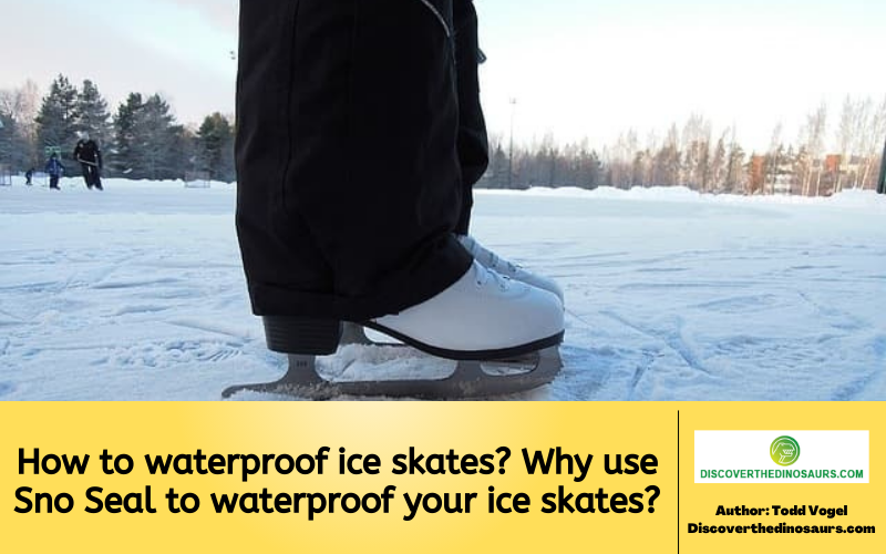 https://discoverthedinosaurs.com/how-to-waterproof-ice-skates/