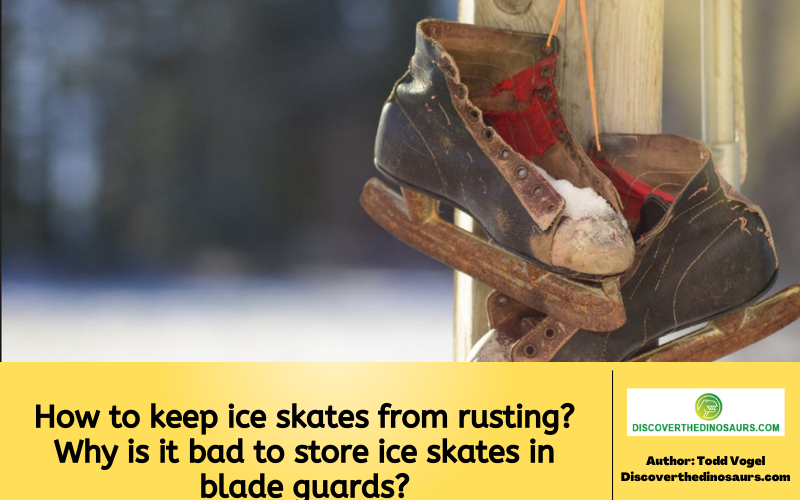 https://discoverthedinosaurs.com/how-to-keep-ice-skates-from-rusting