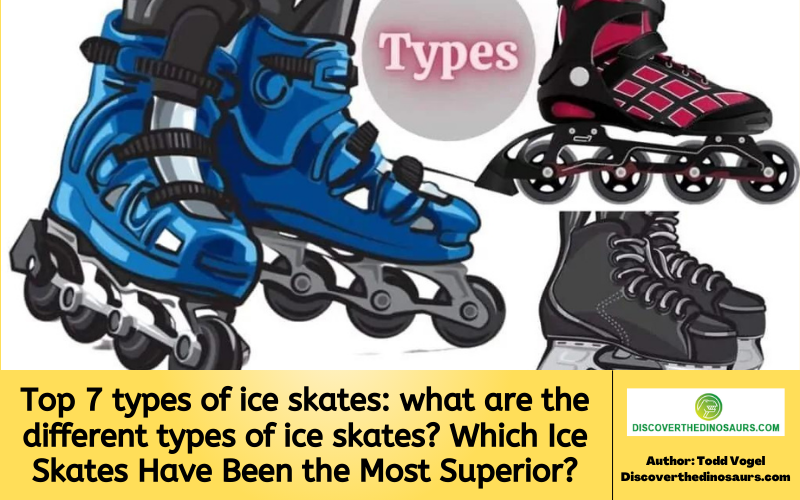https://discoverthedinosaurs.com/what-are-the-different-types-of-ice-skates/