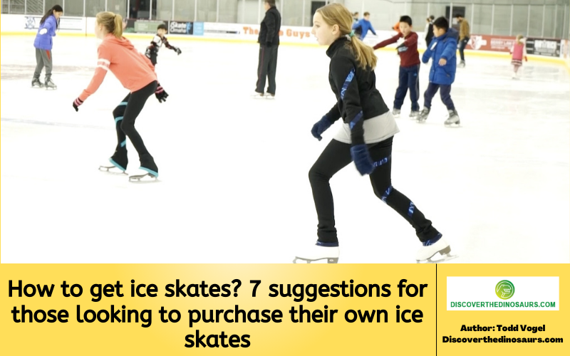 https://discoverthedinosaurs.com/how-to-get-ice-skates/