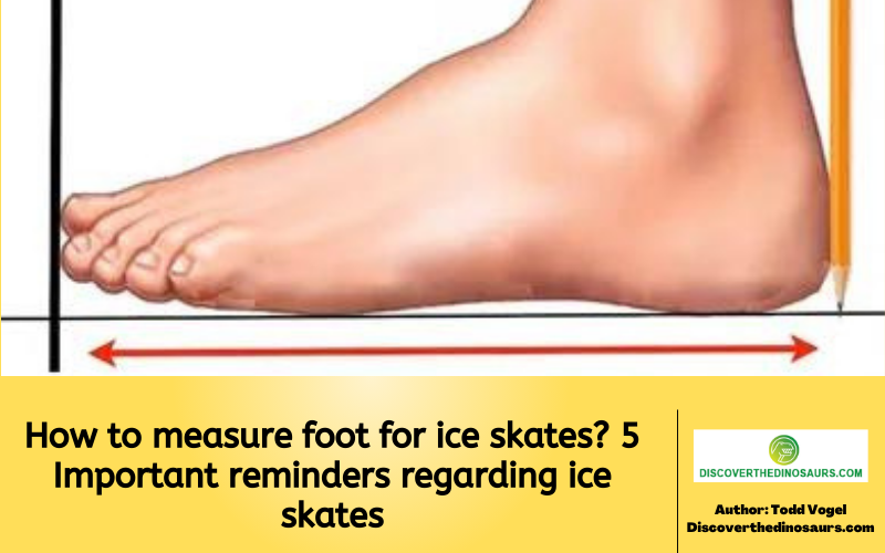 https://discoverthedinosaurs.com/how-to-measure-foot-for-ice-skates/
