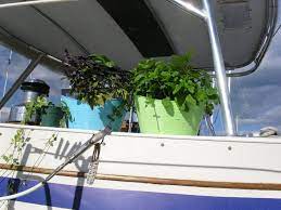 Two Tricks for Homesteading on Your Boat (Cruising Tips)