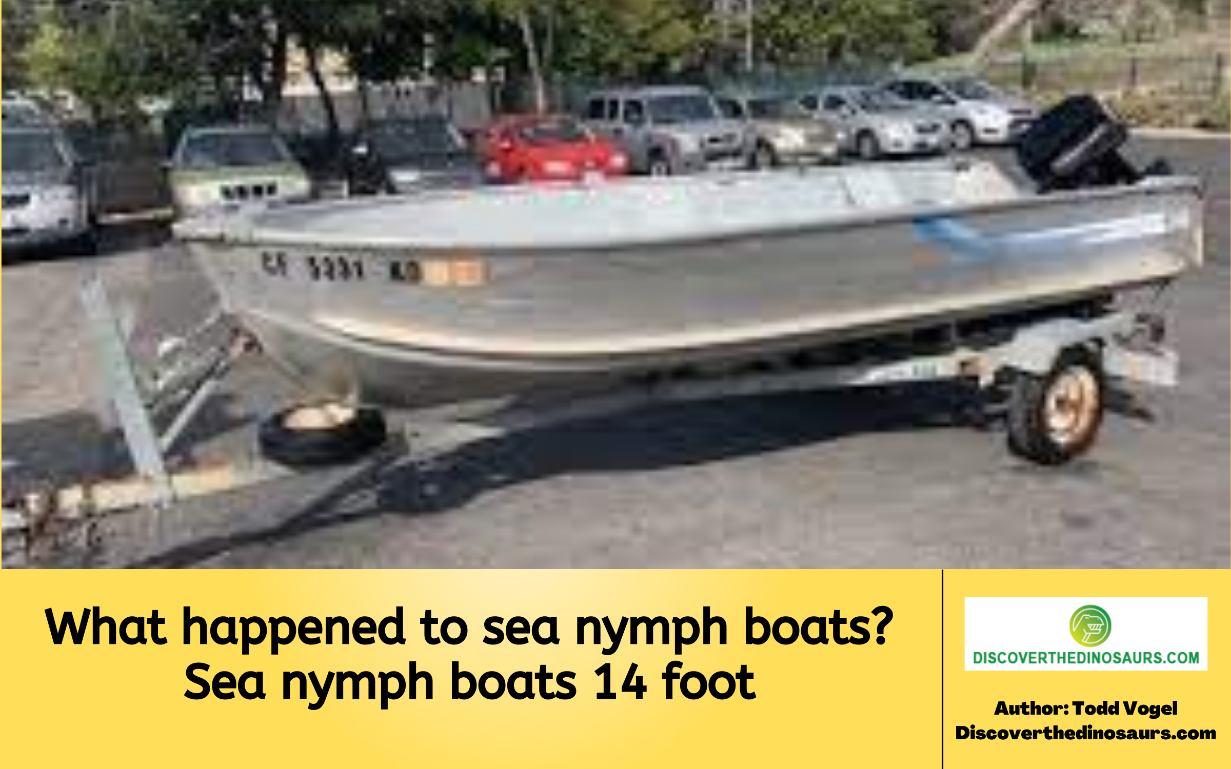 What happened to sea nymph boats? Sea nymph boats 14 foot