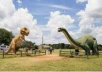 Dinosaur state park, the dinosaurs park