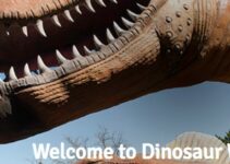 Kentucky’s Dinosaur Park: Dinosaur world