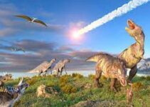 How Long Ago Were Dinosaurs Alive? When did dinosaurs go extinct?