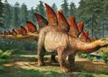 The 16 Most Popular Dinosaurs