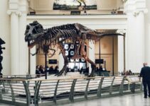 The Bible And Dinosaurs: What The Bible Says About Dinosaurs? what does the bible say about dinosaurs extinction