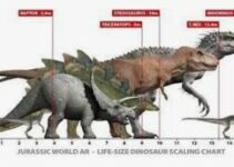 How Big Were Dinosaurs? A Dinosaur Size Chart