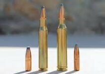 Comparing 3006 And 7mm: Which Is Right For You? 7mm Vs 30-06 Recoil