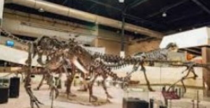 The Dinosaur Museum In Michigan – The Dinosaur Museum