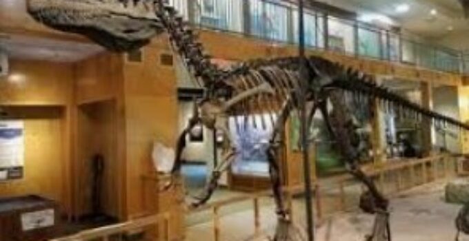 The Dinosaur Museum In Wyoming