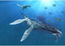 11 Terrifying Water Dinosaurs That Ever Lived