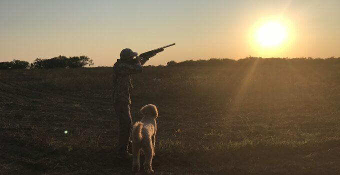 Dove Hunting Tips For Beginners: How To Hunt Doves With A Shotgun. Dove Hunting Setup