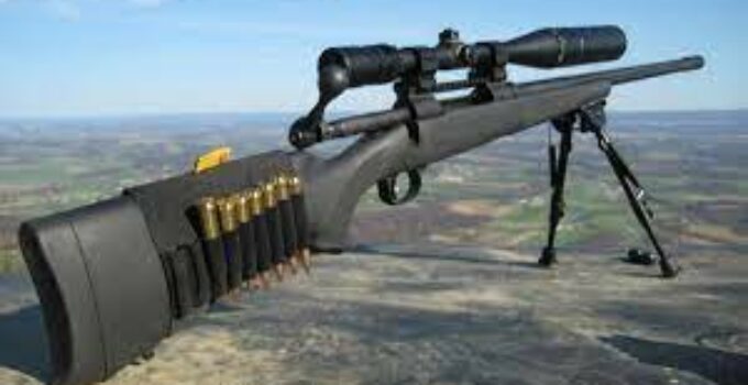 The 5 Best 300 Win Mag Rifles 2022: Review And Guide