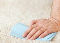 When Carpet Gets Wet. How Long Does Wet Carpet Take To Dry