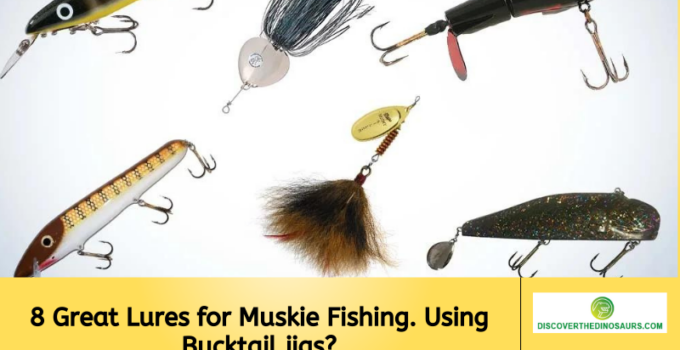 8 Great Lures for Muskie Fishing. Using Bucktail jigs?