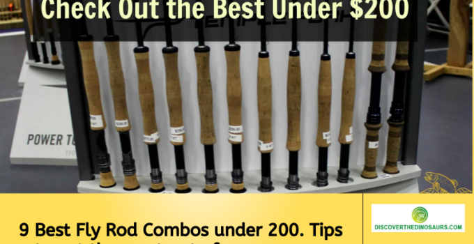 9 Best Fly Rod Combos under 200. Tips to get the most out of your money.