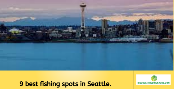 9 best fishing spots in Seattle. Greenlake?