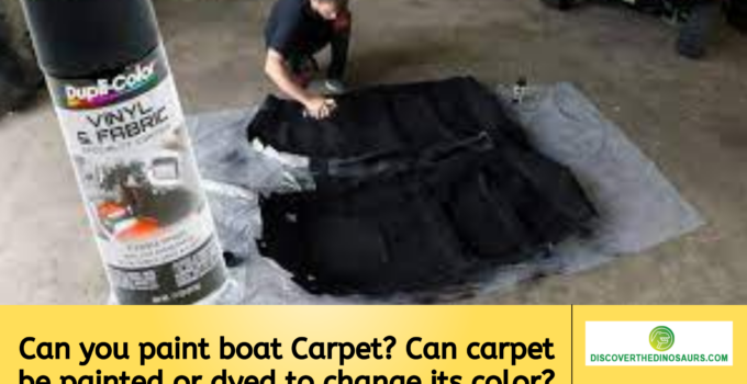 Can you paint boat Carpet? Can carpet be painted or dyed to change its color?