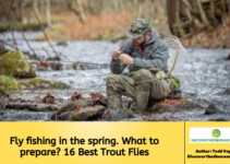 Fly fishing in the spring. What to prepare? 16 Best Trout Flies