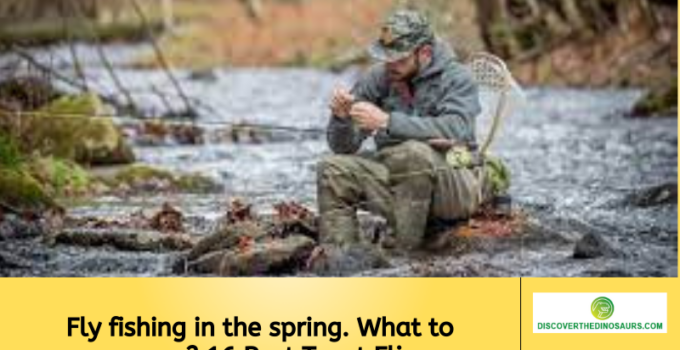 Fly fishing in the spring. What to prepare? 16 Best Trout Flies