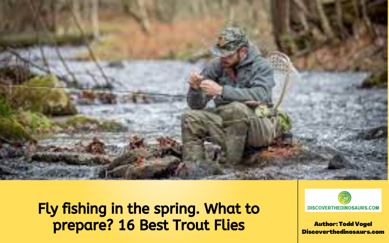 Fly fishing in the spring. What to prepare? 16 Best Trout Flies