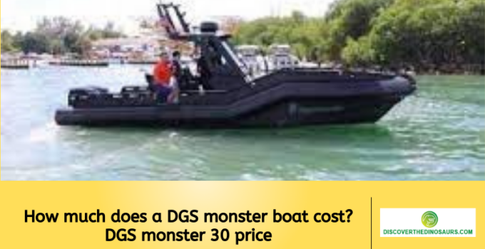 How much does a DGS monster boat cost? DGS monster 30 price