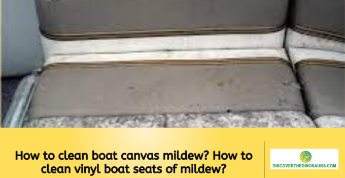 How to clean boat canvas mildew? How to clean vinyl boat seats of mildew?