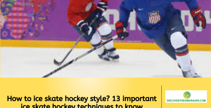 How to ice skate hockey style? 13 important ice skate hockey techniques to know