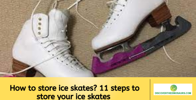 How to store ice skates? 11 steps to store your ice skates