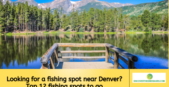 Looking for a fishing spot near Denver? Top 12 fishing spots to go