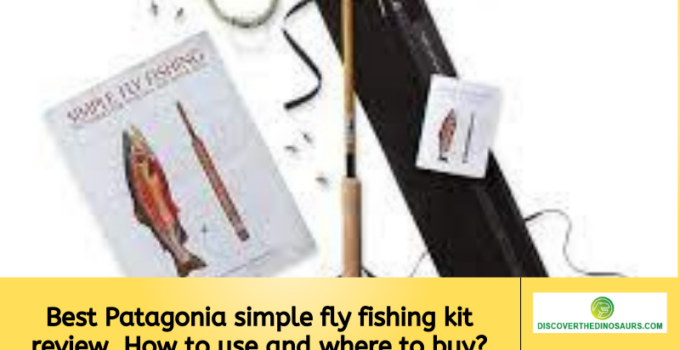 Best Patagonia simple fly fishing kit review. How to use and where to buy?