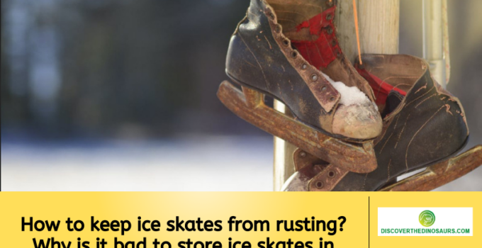 How to keep ice skates from rusting? Why is it bad to store ice skates in blade guards?