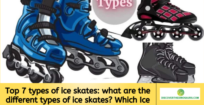 Top 7 types of ice skates: what are the different types of ice skates? Which Ice Skates Have Been the Most Superior?