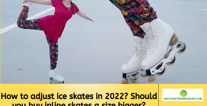 How to adjust ice skates in 2022? Should you buy inline skates a size bigger?