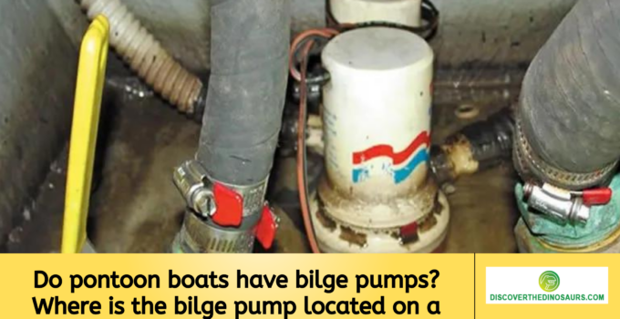 Do pontoon boats have bilge pumps? Where is the bilge pump located on a boat?