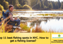 Top 11 best fishing spots in NYC. How to get a fishing license?