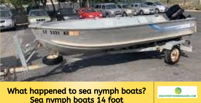 What happened to sea nymph boats? Sea nymph boats 14 foot