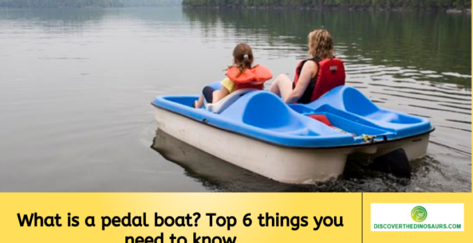 What is a pedal boat? Top 6 things you need to know