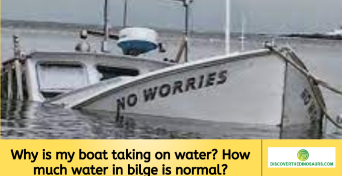 Why is my boat taking on water? How much water in bilge is normal?