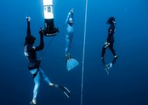 How Do Free Divers Not Get The Bends?