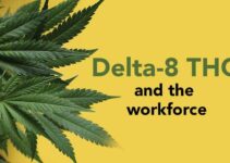 Can You Be Fired For Using Delta 8?